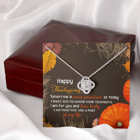 Happy Thanksgiving | How Lucky I Am | Love Knot Necklace (Yellow & White Gold Variants)